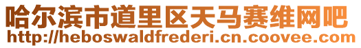哈爾濱市道里區(qū)天馬賽維網(wǎng)吧