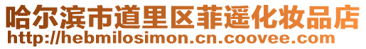 哈爾濱市道里區菲遙化妝品店