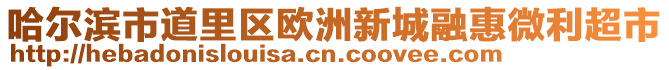 哈爾濱市道里區歐洲新城融惠微利超市