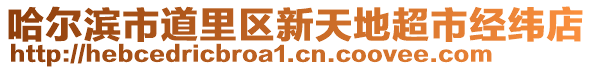 哈爾濱市道里區(qū)新天地超市經(jīng)緯店