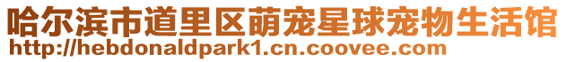 哈爾濱市道里區萌寵星球寵物生活館