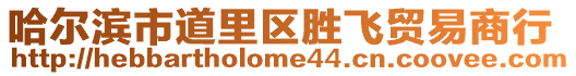 哈爾濱市道里區勝飛貿易商行