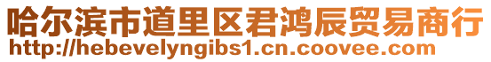 哈爾濱市道里區君鴻辰貿易商行