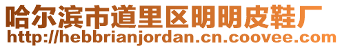 哈爾濱市道里區(qū)明明皮鞋廠