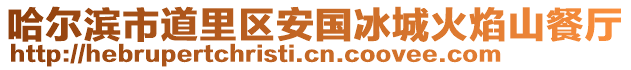 哈爾濱市道里區安國冰城火焰山餐廳