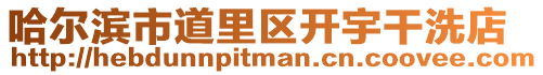 哈爾濱市道里區開宇干洗店