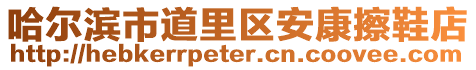哈爾濱市道里區(qū)安康擦鞋店