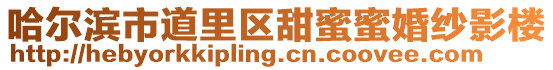 哈爾濱市道里區甜蜜蜜婚紗影樓
