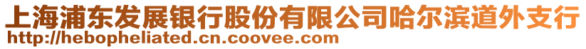 上海浦東發展銀行股份有限公司哈爾濱道外支行