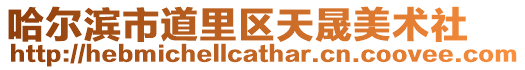 哈爾濱市道里區(qū)天晟美術(shù)社
