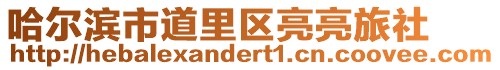 哈爾濱市道里區亮亮旅社