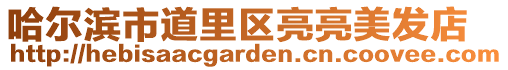 哈爾濱市道里區亮亮美發店