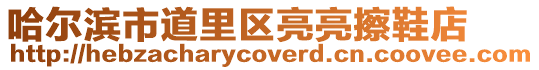 哈爾濱市道里區亮亮擦鞋店