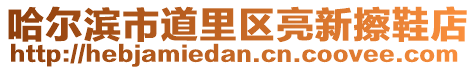 哈爾濱市道里區(qū)亮新擦鞋店