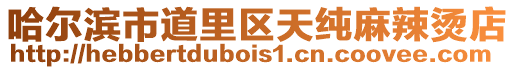 哈爾濱市道里區天純麻辣燙店