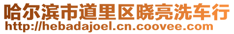 哈爾濱市道里區曉亮洗車行