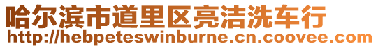 哈爾濱市道里區亮潔洗車行