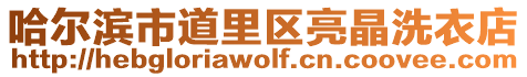 哈爾濱市道里區(qū)亮晶洗衣店