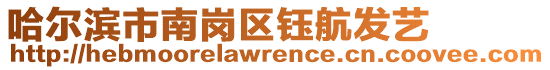 哈爾濱市南崗區(qū)鈺航發(fā)藝