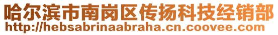 哈爾濱市南崗區(qū)傳揚(yáng)科技經(jīng)銷部