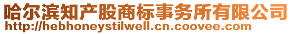 哈爾濱知產(chǎn)股商標(biāo)事務(wù)所有限公司