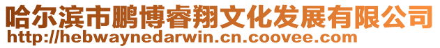 哈爾濱市鵬博睿翔文化發展有限公司