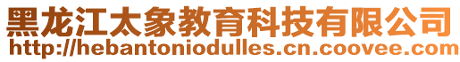 黑龍江太象教育科技有限公司