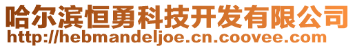 哈爾濱恒勇科技開發(fā)有限公司