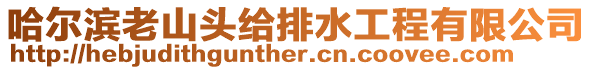 哈爾濱老山頭給排水工程有限公司