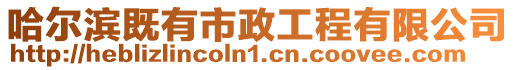 哈爾濱既有市政工程有限公司