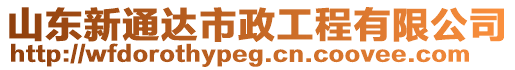 山東新通達(dá)市政工程有限公司