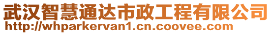 武漢智慧通達市政工程有限公司