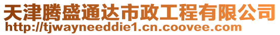 天津腾盛通达市政工程有限公司