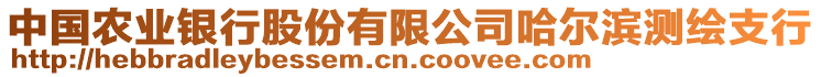 中國農(nóng)業(yè)銀行股份有限公司哈爾濱測繪支行