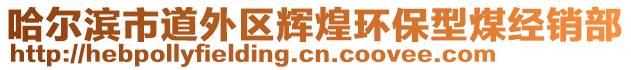 哈爾濱市道外區(qū)輝煌環(huán)保型煤經(jīng)銷部