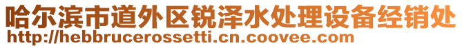 哈爾濱市道外區銳澤水處理設備經銷處