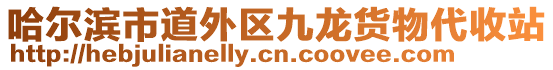 哈爾濱市道外區(qū)九龍貨物代收站