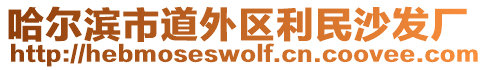 哈爾濱市道外區(qū)利民沙發(fā)廠