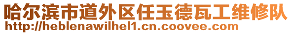 哈爾濱市道外區(qū)任玉德瓦工維修隊(duì)