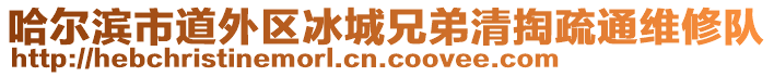 哈爾濱市道外區(qū)冰城兄弟清掏疏通維修隊