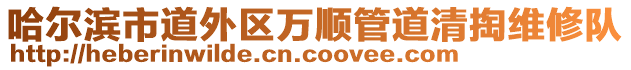 哈爾濱市道外區(qū)萬順管道清掏維修隊(duì)