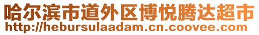 哈爾濱市道外區(qū)博悅騰達(dá)超市