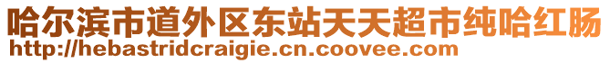 哈爾濱市道外區(qū)東站天天超市純哈紅腸