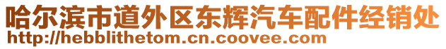 哈爾濱市道外區(qū)東輝汽車配件經(jīng)銷處