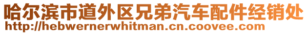 哈爾濱市道外區(qū)兄弟汽車配件經(jīng)銷處