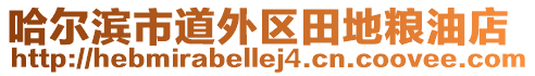 哈爾濱市道外區(qū)田地糧油店