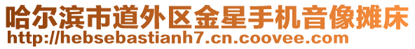 哈爾濱市道外區(qū)金星手機(jī)音像攤床