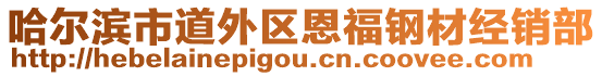 哈爾濱市道外區恩福鋼材經銷部