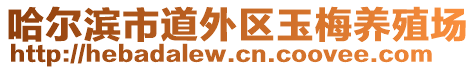 哈爾濱市道外區(qū)玉梅養(yǎng)殖場(chǎng)