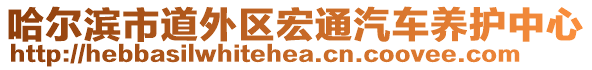 哈爾濱市道外區(qū)宏通汽車養(yǎng)護(hù)中心